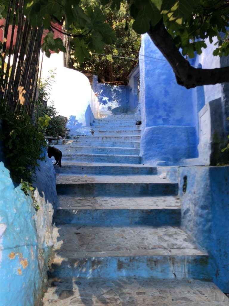 Chefchaouen scale