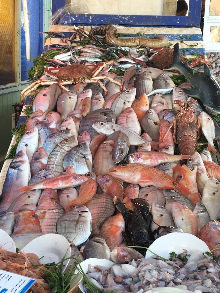 Pesce fresco