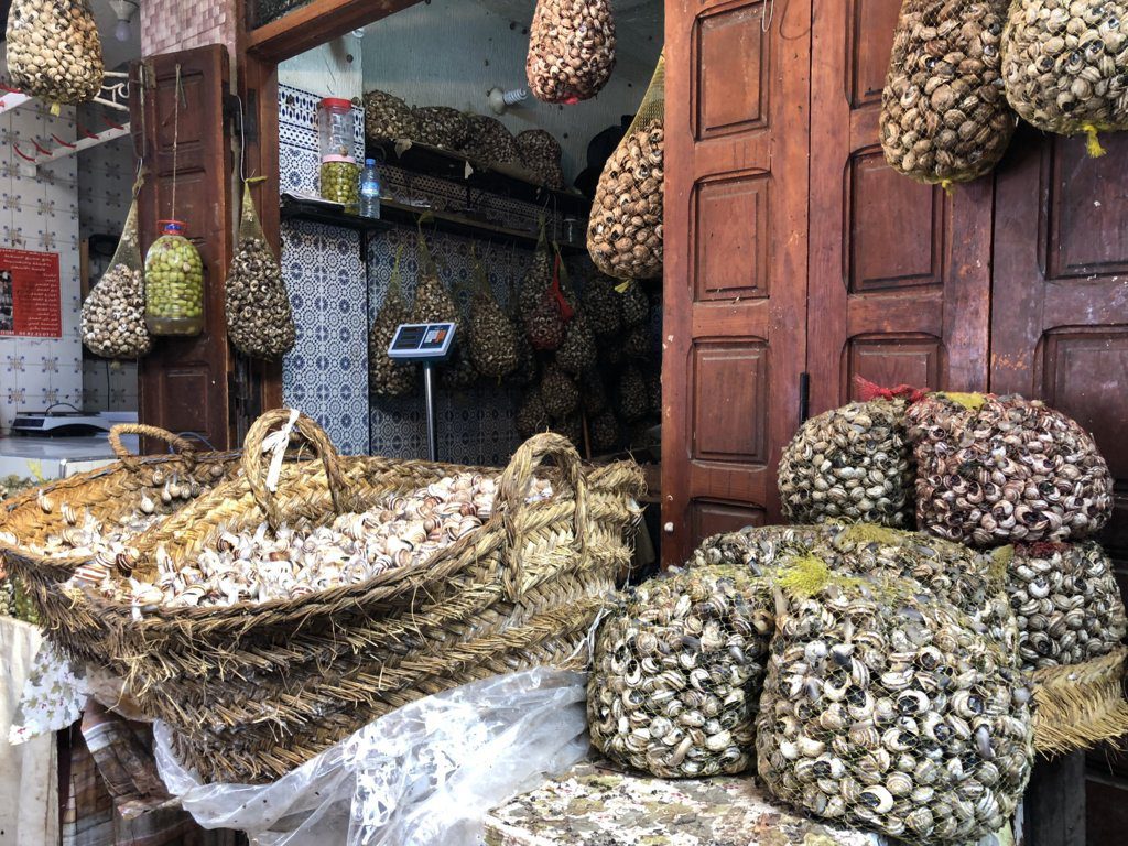 Fes Medina Fes el Bali