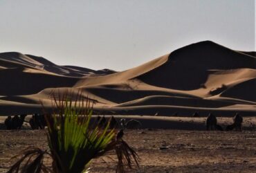 Tour Deserto da Marrakech a Fes via Merzouga: 3 giorni
