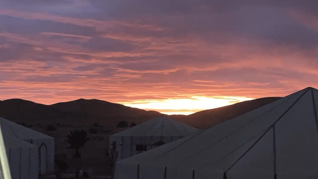 Luxury Oasis Camp