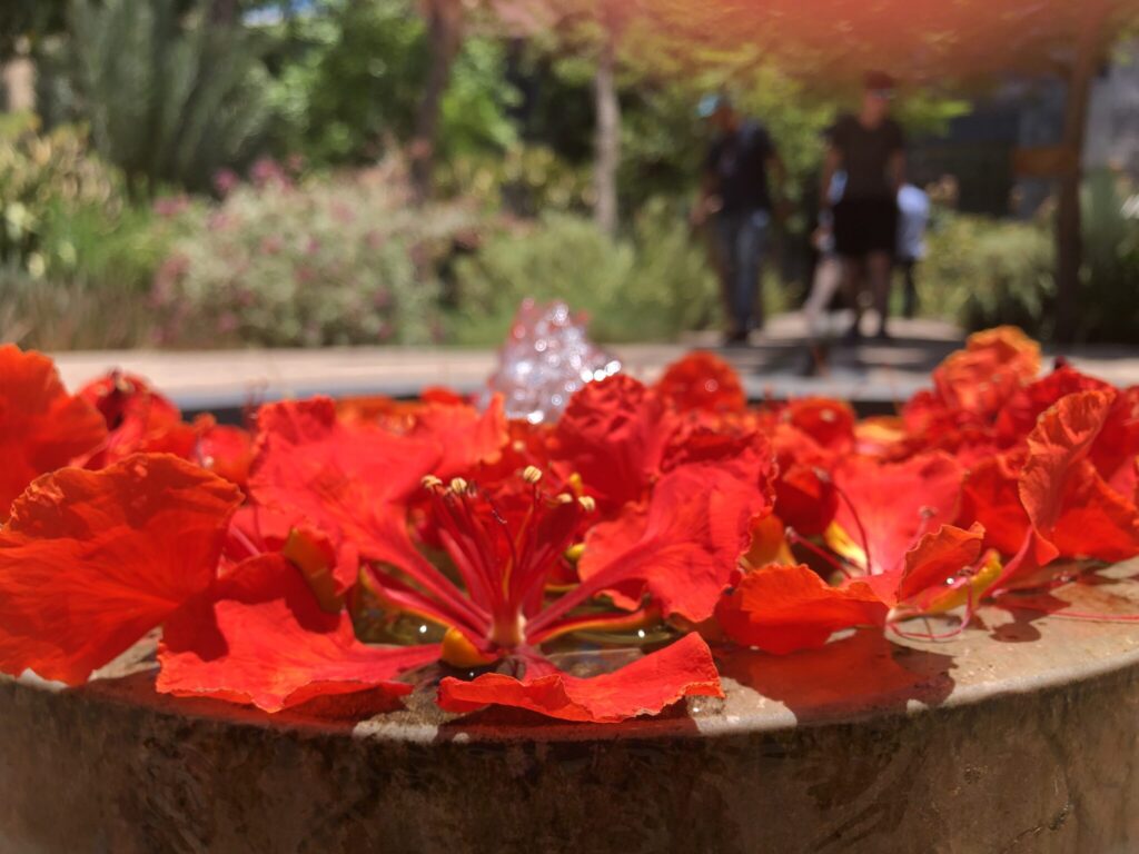 Marrakech - Giardini